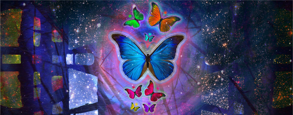 数据分析利器的在线短信轰炸工具